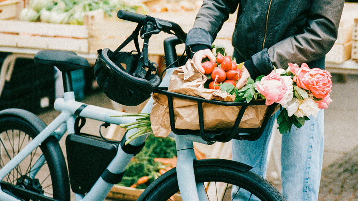Vanmoof rear rack sale